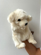 Hansa puppet puppy