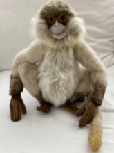 Hansa monkey family