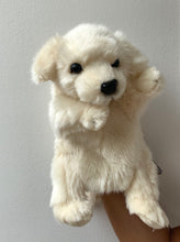 Hansa puppet puppy