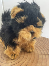 Hansa Yorkshire dog