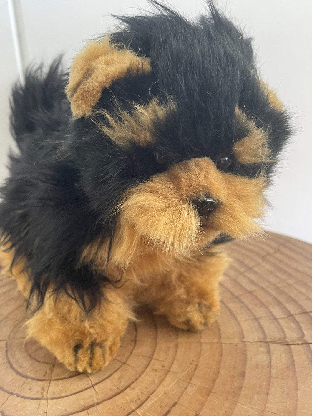 Hansa Yorkshire dog