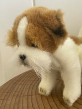 Hansa Jack Russel dog