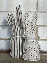 Stripes rabbit