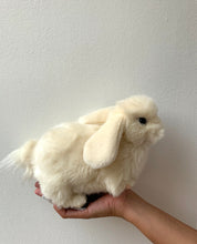 hansa white bunny
