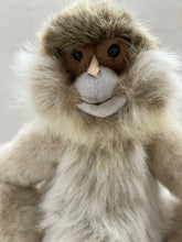 Hansa monkey family
