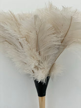 Feather duster