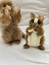 Hansa Tarsier