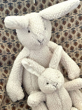 Mumma and Baby Bunny