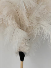 Feather duster