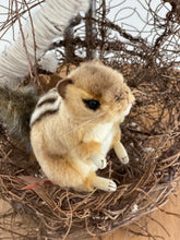 Hansa Chipmunk