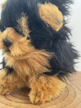 Hansa Yorkshire dog