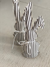 Stripes rabbit