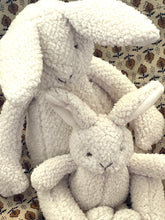 Mumma and Baby Bunny