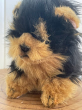 Hansa Yorkshire dog