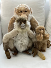 Hansa monkey family