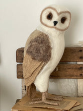 Owl