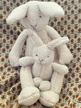 Mumma and Baby Bunny