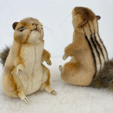 Hansa Chipmunk