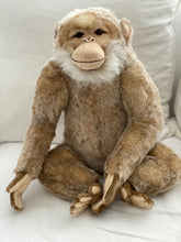Hansa monkey family