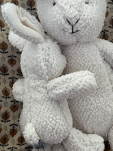 Mumma and Baby Bunny