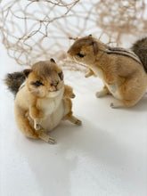 Hansa Chipmunk