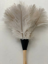 Feather duster