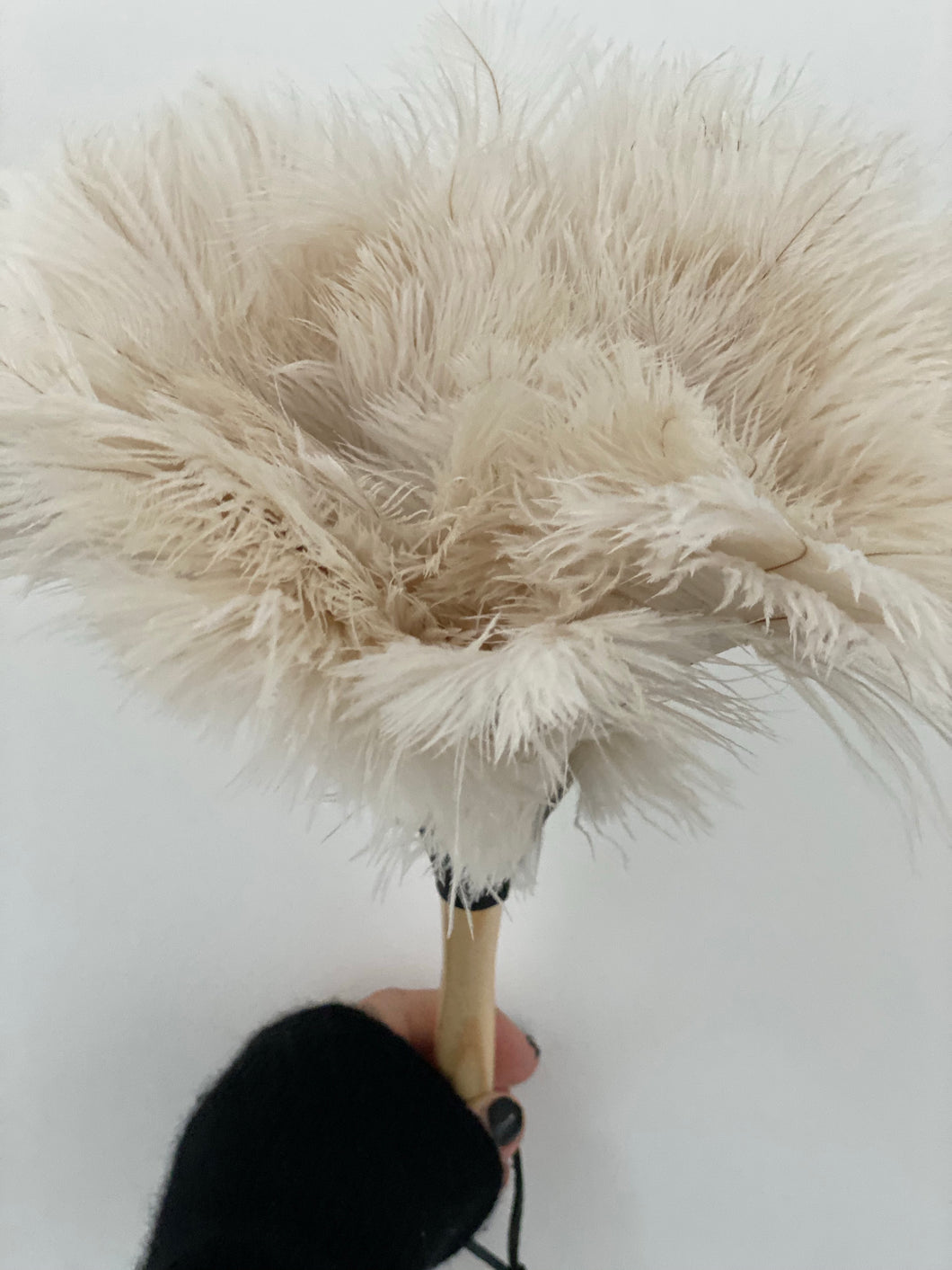 Feather duster