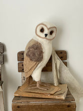 Owl