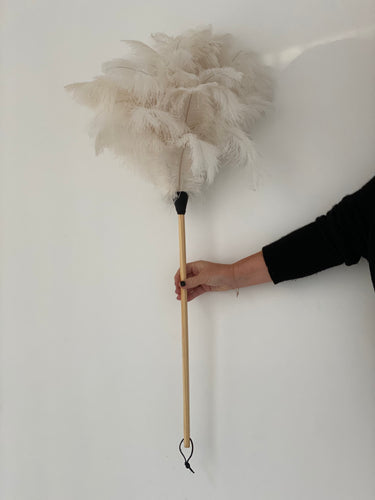 Feather duster